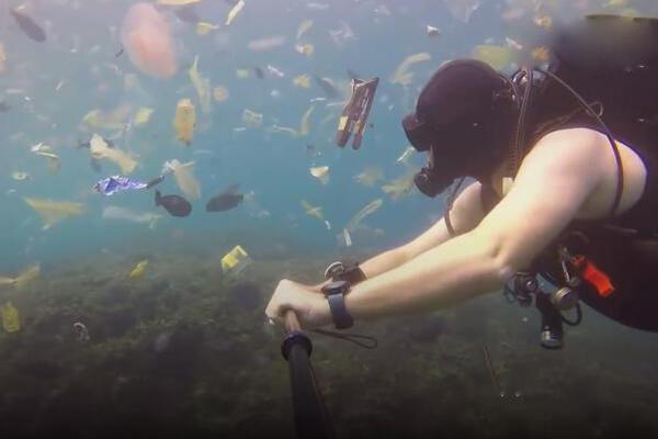 《凱發(fā)電氣》(300407.SZ)：通號(hào)集團(tuán)確定佳都科技為本次公開(kāi)征集受讓方