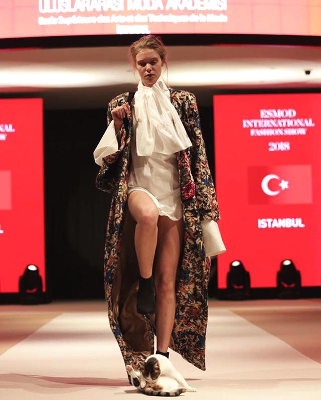 《天津高》校“公益集市”開(kāi)進(jìn)寧河 62家展位“擺攤”送服務(wù)