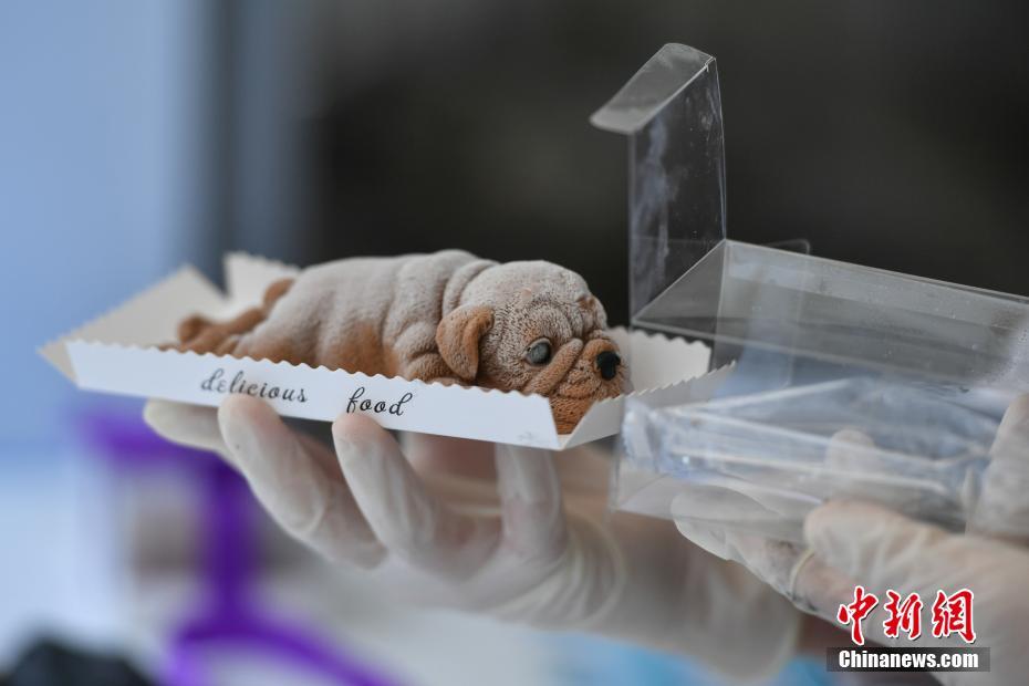 西十高《鐵全線鋪》軌貫通