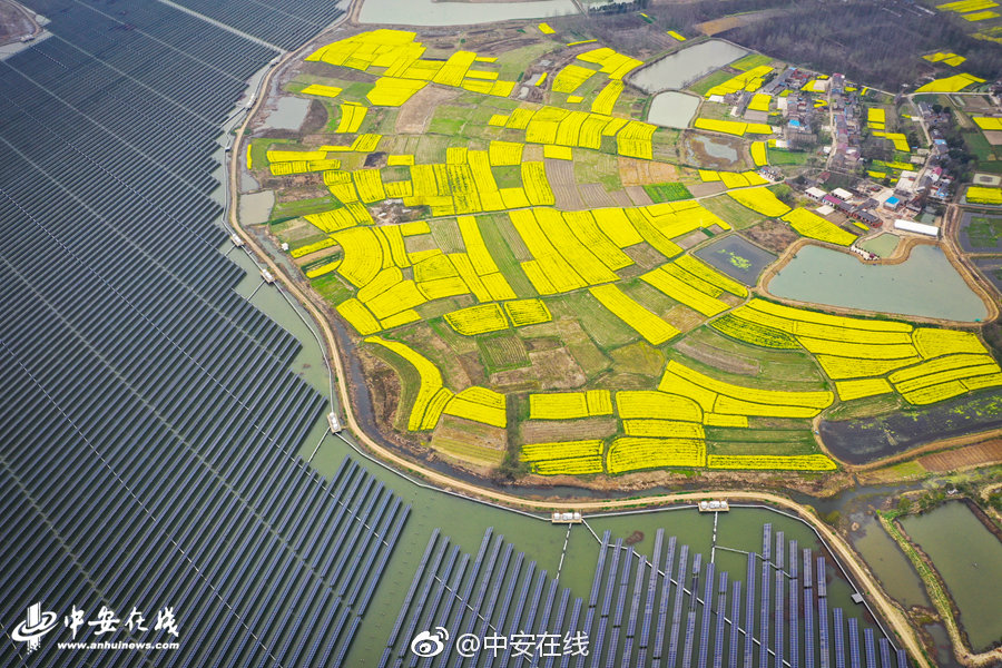 國內(nèi)首個殘疾《人鐵人三》項賽事開賽