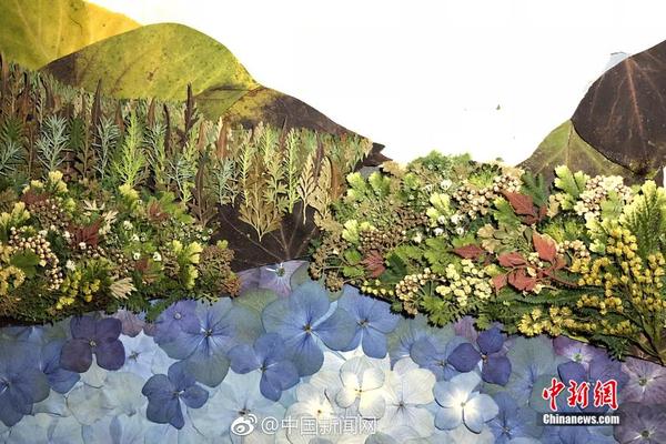 【未來】出行加速空間在沈陽啟動 打造東北區(qū)域標(biāo)桿性產(chǎn)業(yè)孵化中心