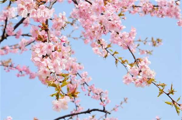 【中信證券】：內(nèi)外兼顧，尋求交集