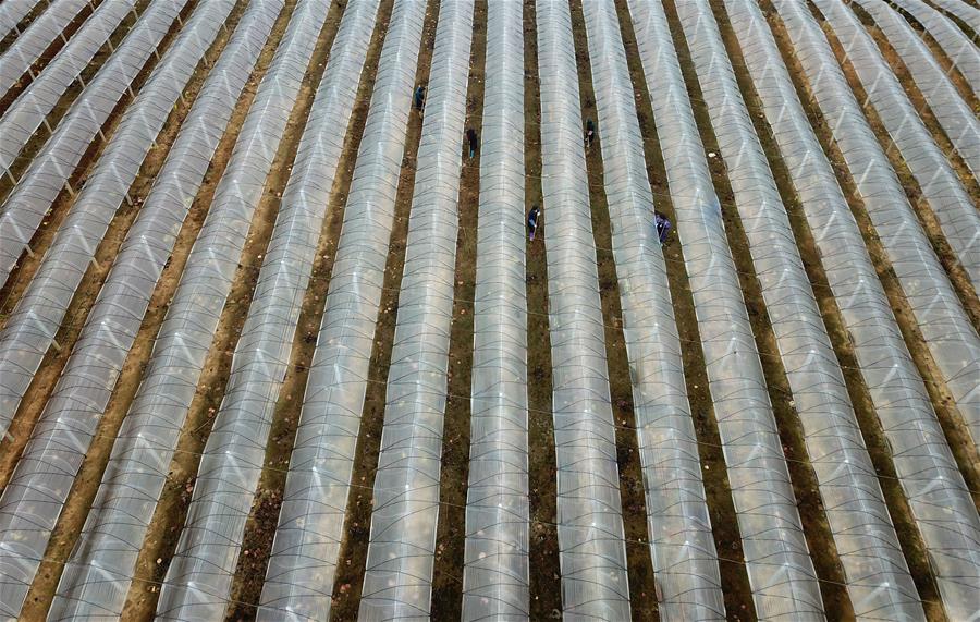 全國(guó)工【信領(lǐng)域】能工巧匠在渝“一決高下”