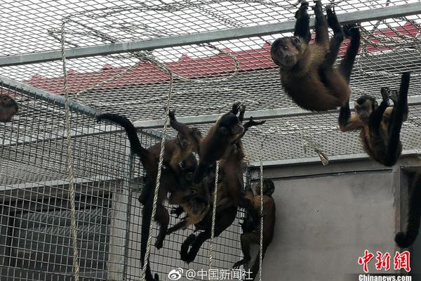 空降老將馮金濤與百年人壽的[治理迷]局