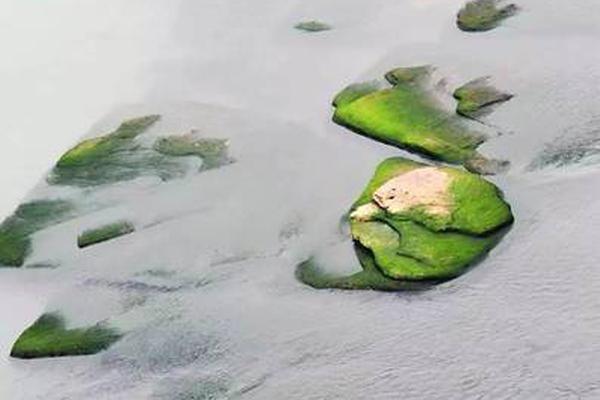 全國工【信領域】能工巧匠在渝“一決高下”