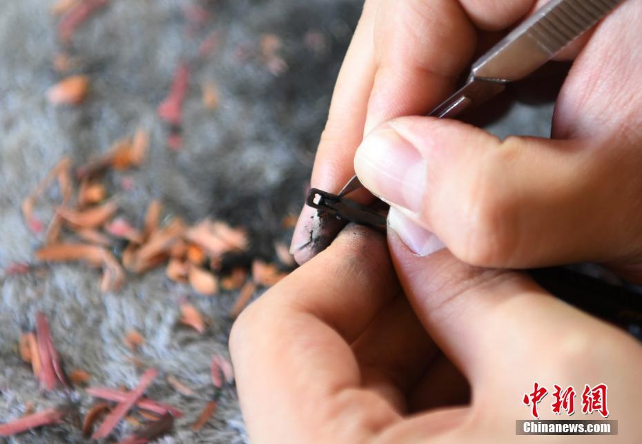 “叉“燒”有”官方英文名說明了什么？