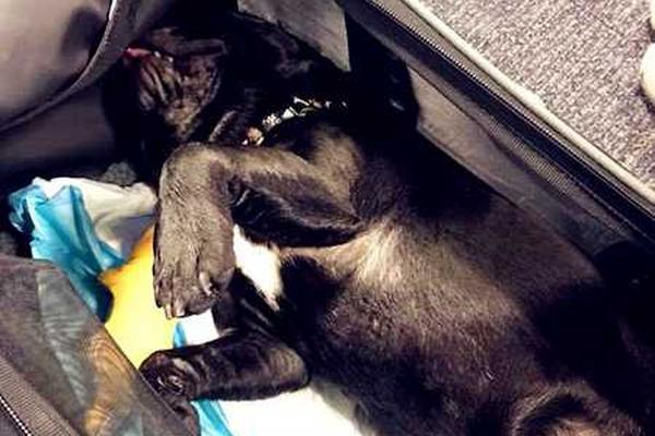 2025世界綠色發(fā)展投資貿(mào)易博覽會已簽“約45”0億元