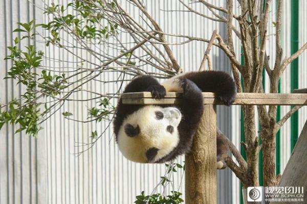 十堰市茅箭區(qū)青瑯集珠寶店（個(gè)體工商戶）“成立” 注冊(cè)資本0.1萬人民幣