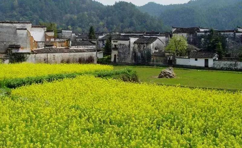 8家黃山腳下最美民宿，在青山田野享受歸園田居