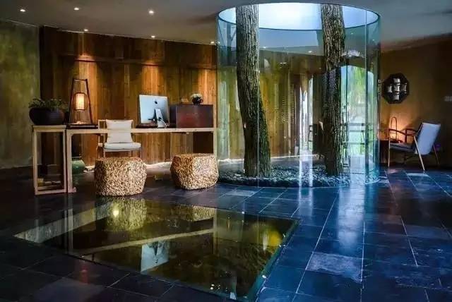 8家黃山腳下最美民宿，在青山田野享受歸園田居