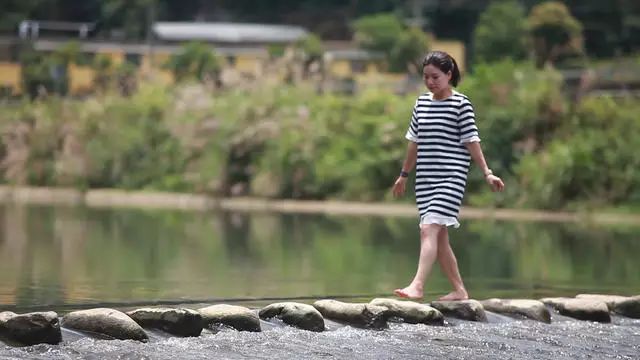 梧桐小筑，一幅靜靜舒展的水墨畫卷