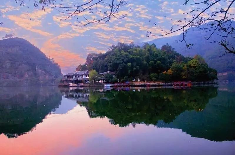 梧桐小筑，一幅靜靜舒展的水墨畫卷