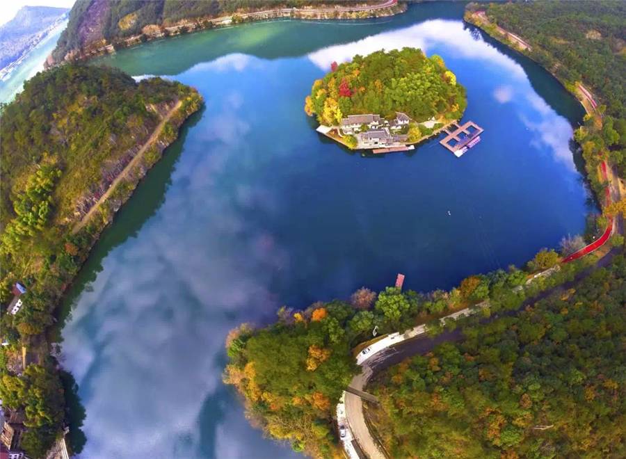 梧桐小筑，一幅靜靜舒展的水墨畫卷