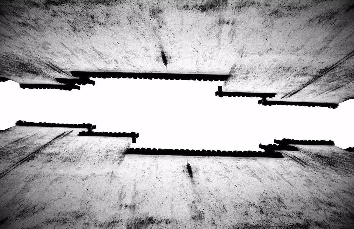 梧桐小筑，一幅靜靜舒展的水墨畫卷