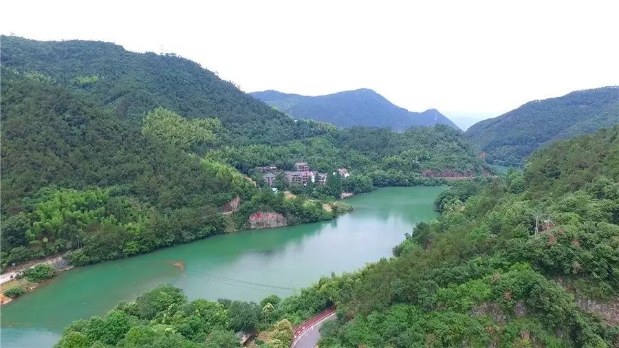 梧桐小筑，一幅靜靜舒展的水墨畫卷