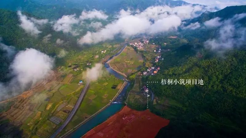 梧桐小筑，一幅靜靜舒展的水墨畫卷