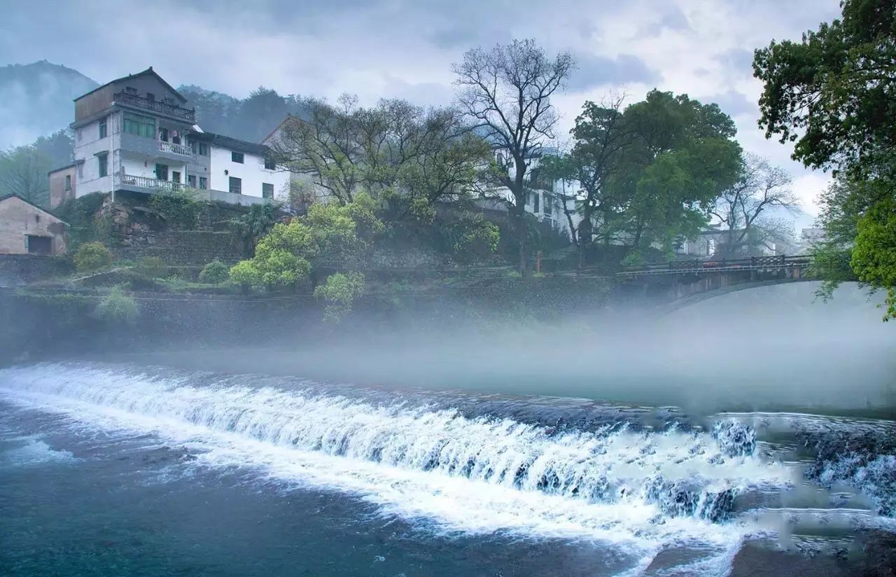 梧桐小筑，一幅靜靜舒展的水墨畫卷
