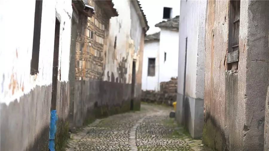 梧桐小筑，一幅靜靜舒展的水墨畫卷