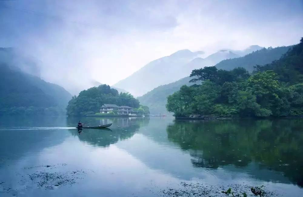 梧桐小筑，一幅靜靜舒展的水墨畫卷