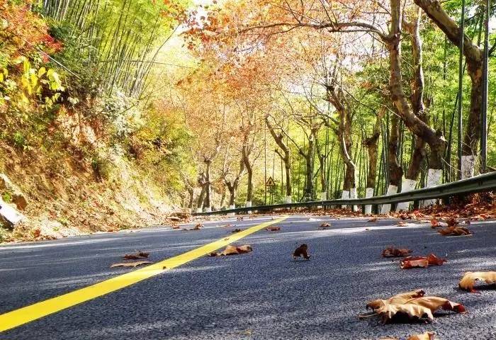 瓜洲云裳山村，春風(fēng)又綠江岸春