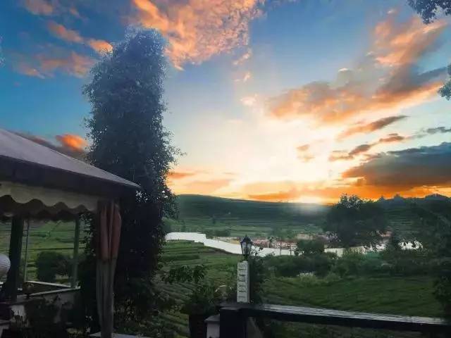 瓜洲云裳山村，春風(fēng)又綠江岸春