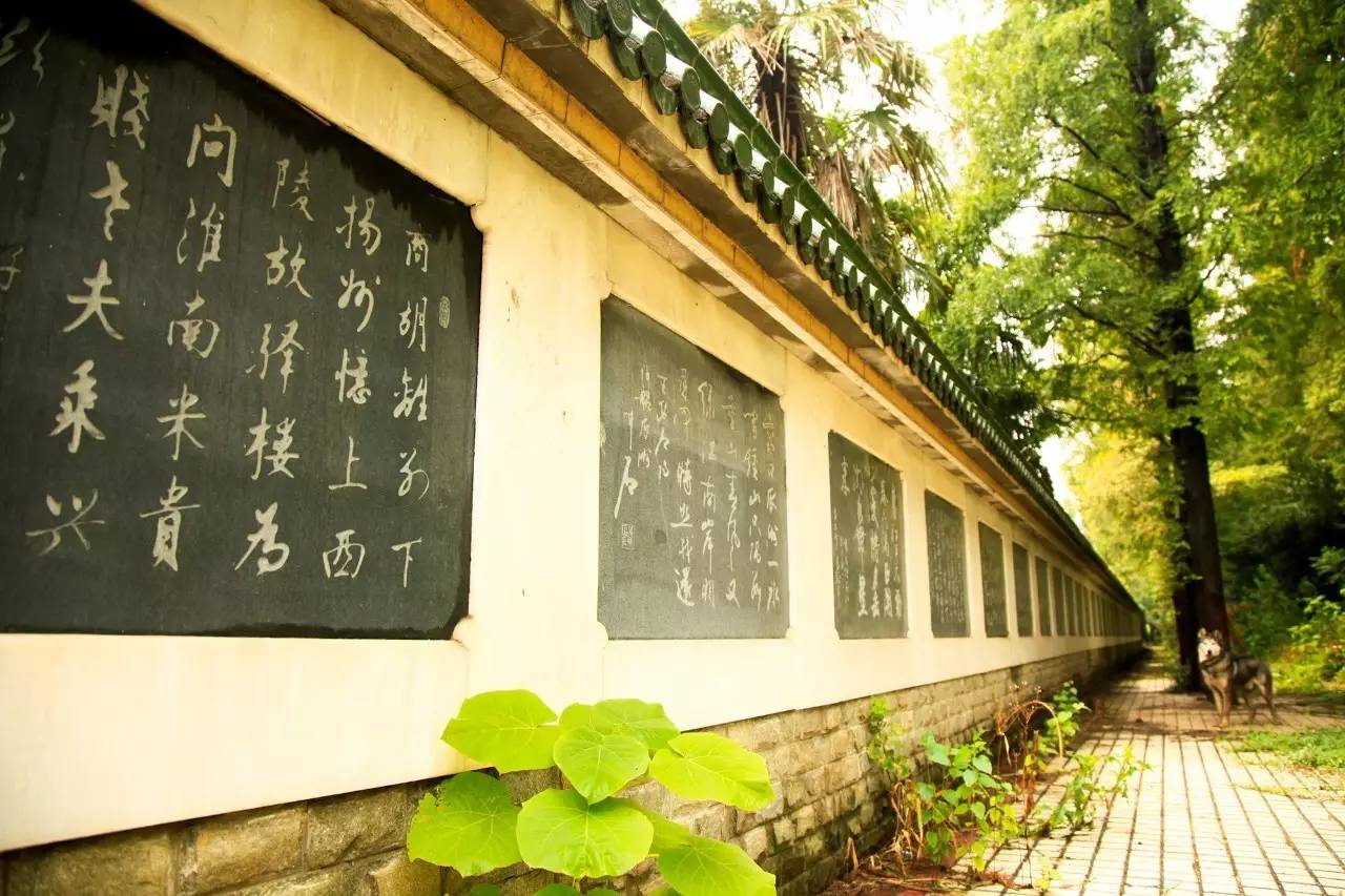 瓜洲云裳山村，春風(fēng)又綠江岸春