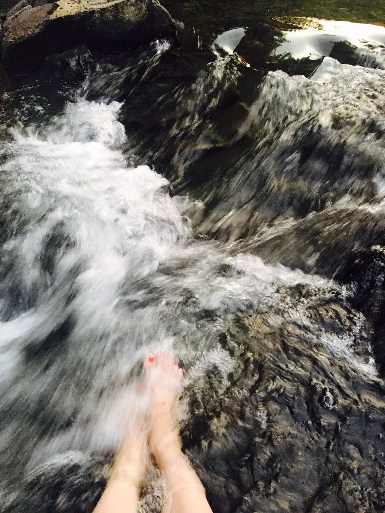 莫干山悠然九希，面朝竹海背向茶山的避暑圣地