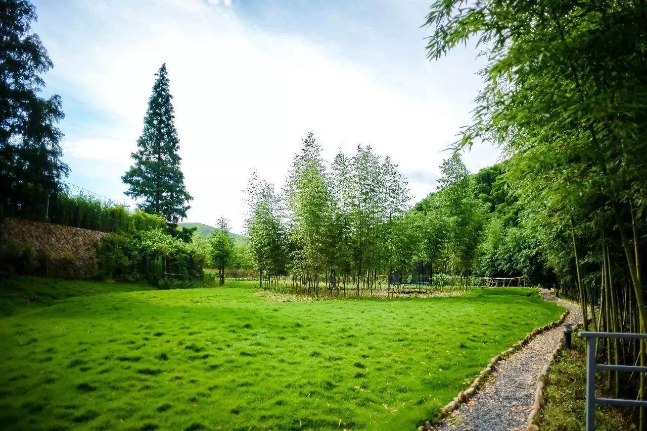 莫干山悠然九希，面朝竹海背向茶山的避暑圣地