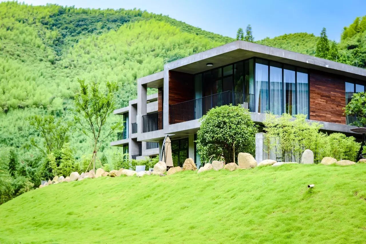 莫干山悠然九希，面朝竹海背向茶山的避暑圣地