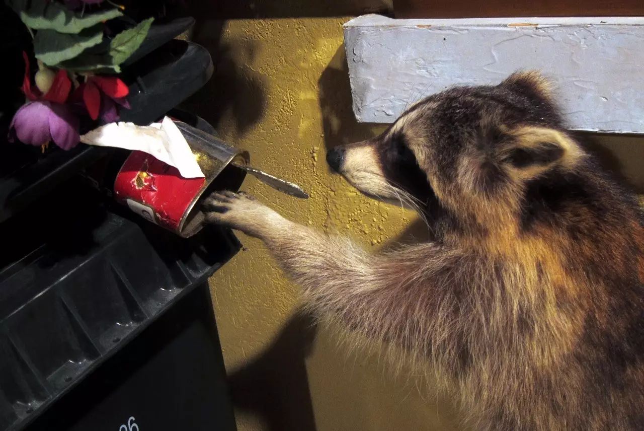 多村一號(hào)，在海外住進(jìn)小別墅慢條思理地生活