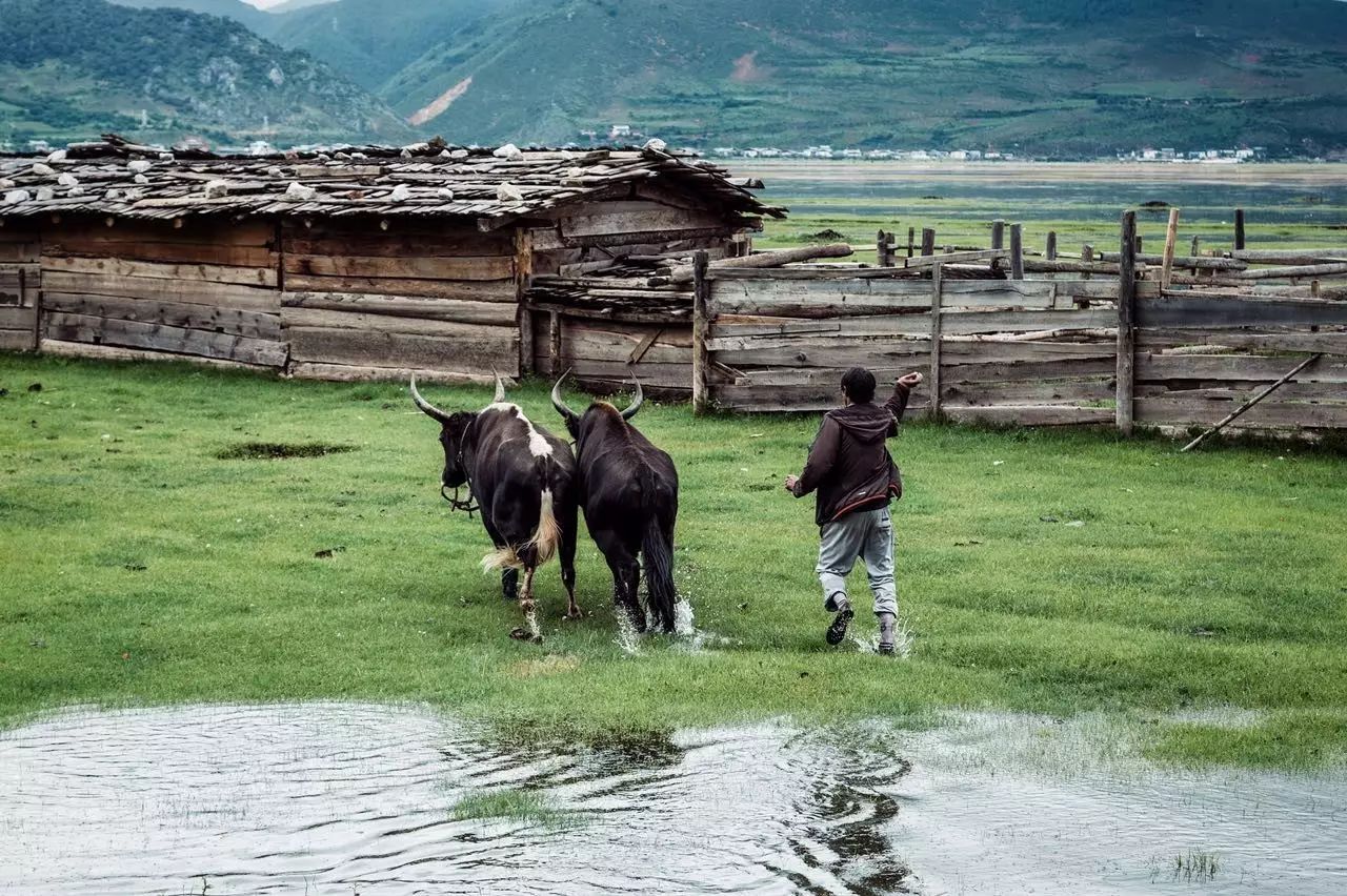 香格里拉薩洛頤度假酒店，以上帝視角看納帕海