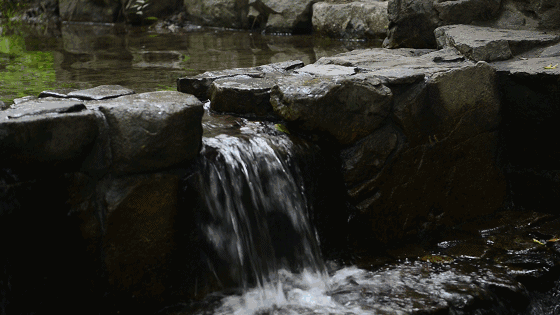 美豪西湖店，枕著西湖的美景入眠