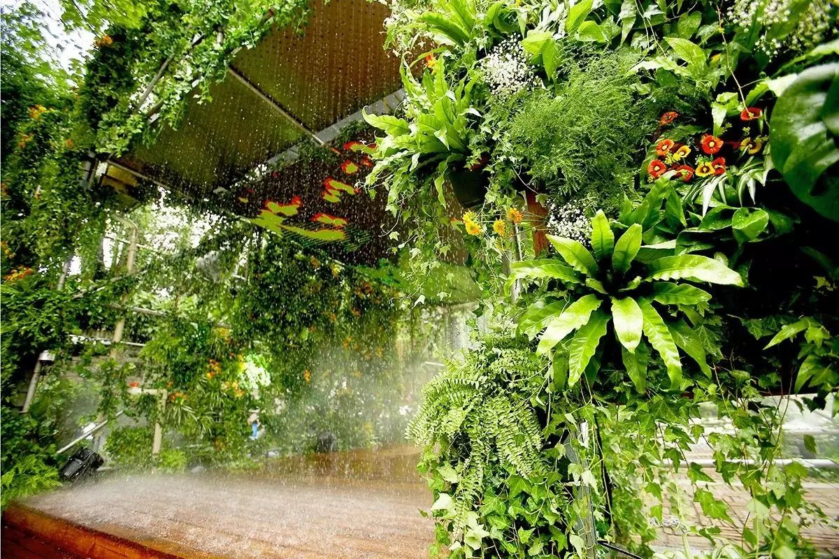 福佳“奇趣花園市集”，體驗(yàn)大自然的美好