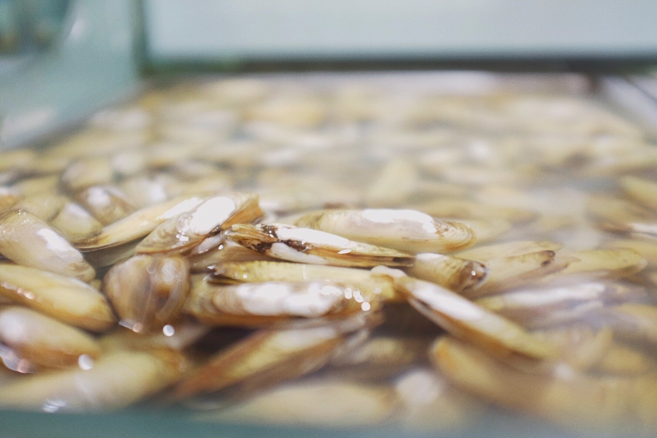 心湖·悅空間，用民宿的方式愛著我的小島生活