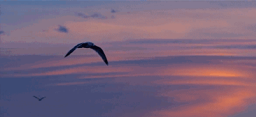 心湖·悅空間，用民宿的方式愛著我的小島生活