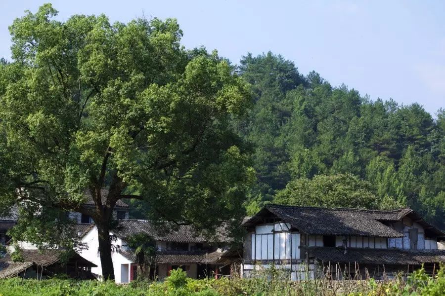 中國古建筑，千年古村不會(huì)消失但卻只剩下老房