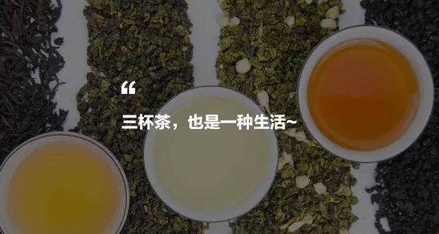 烏龍先生，用心做好茶發(fā)揚(yáng)博大精深的茶文化