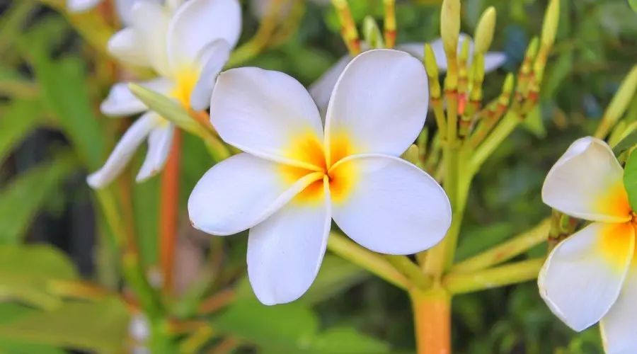 巴厘島·寓薦民宿，最美的巴厘島