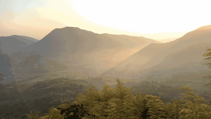 珀洱半坡，在竹海樹林之間盡享山間好風(fēng)光