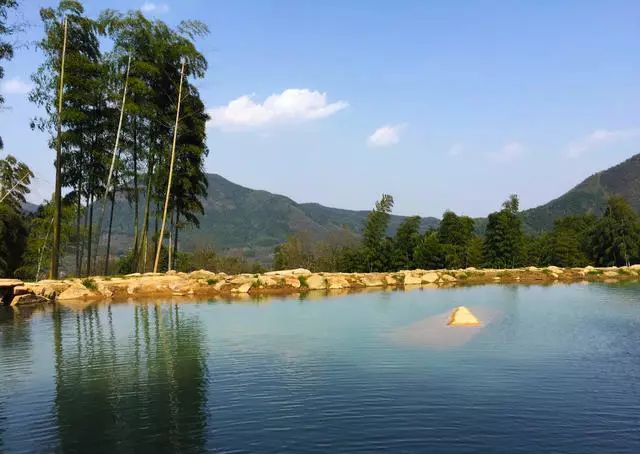 珀洱半坡，在竹海樹林之間盡享山間好風(fēng)光