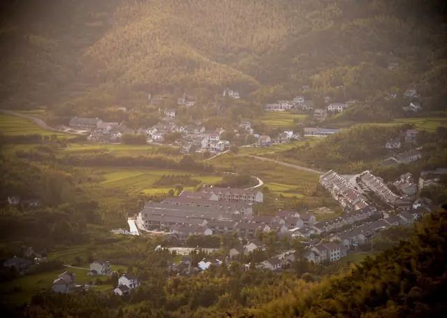 珀洱半坡，在竹海樹林之間盡享山間好風(fēng)光