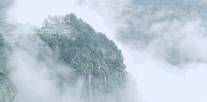 螞蟻尚墅，在山谷的花田美舍里生活