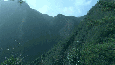 螞蟻尚墅，在山谷的花田美舍里生活