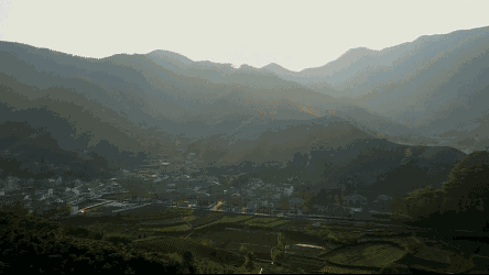 湖州嶺霧，在云霧之巔把自然搬進屋內(nèi)