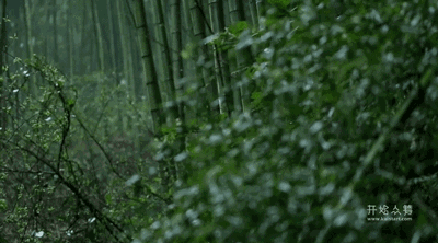 湖州嶺霧，在云霧之巔把自然搬進(jìn)屋內(nèi)