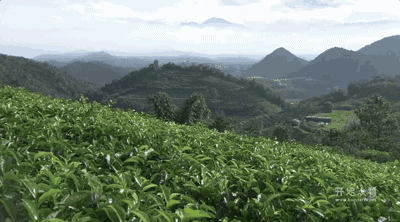 湖州嶺霧，在云霧之巔把自然搬進屋內(nèi)