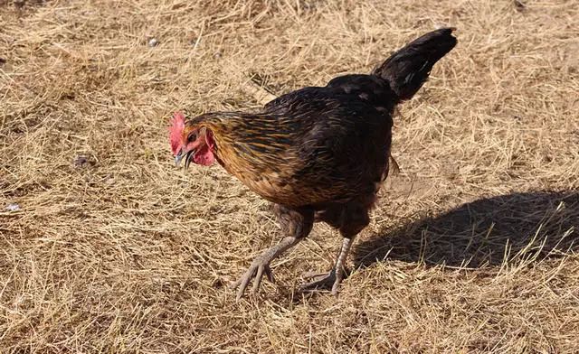 湖州嶺霧，在云霧之巔把自然搬進(jìn)屋內(nèi)