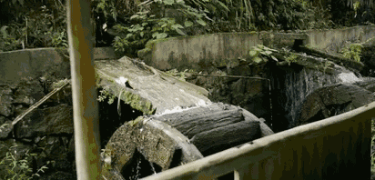 陌上·花溪堂，陌上花開笑顏傾城