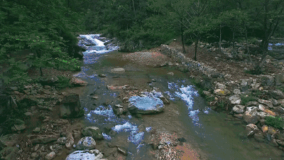 陌上·花溪堂，陌上花開(kāi)笑顏傾城