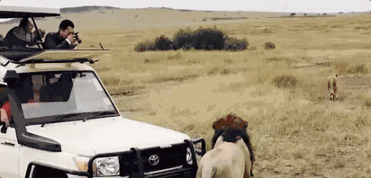 陌上·花溪堂，陌上花開笑顏傾城